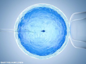 胚胎实验室主任